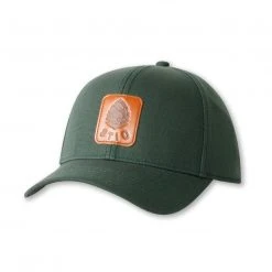 Stio Pine Arc Snap Back