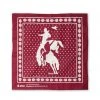 Stio Rodeo Bandana