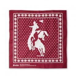 Stio Rodeo Bandana